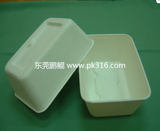 餐盒自動(dòng)噴漆線1